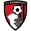 Bournemouth Badge